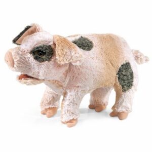 Grunting Pig