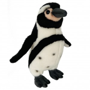Humboldt-Pinguin
