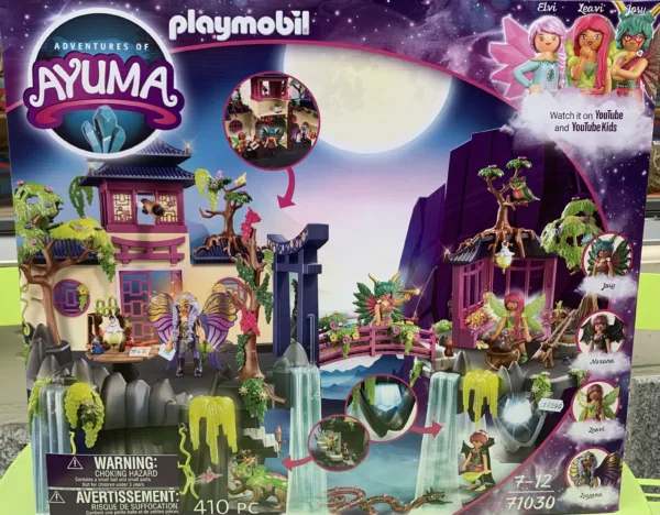 Playmobil Feen Akademie